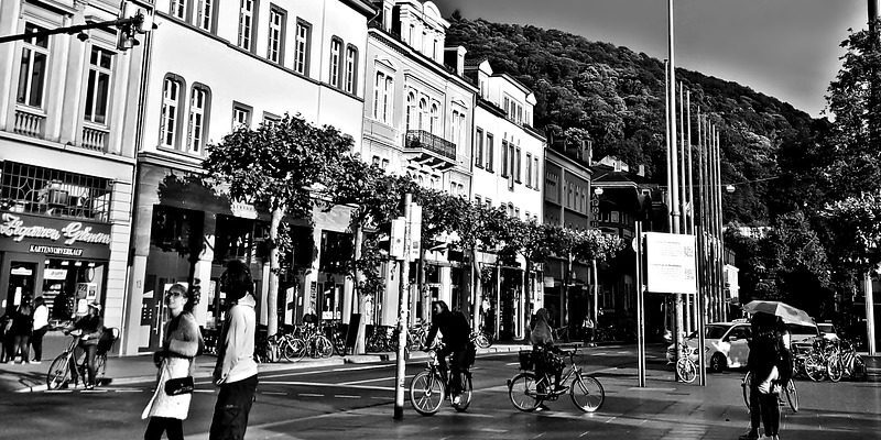 arrendamientos urbanos contratos locales comerciales